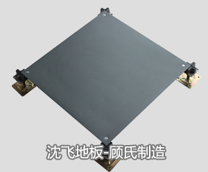午夜精品射精入后免费视频地板