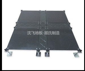 午夜精品射精入后免费视频地板Oa500